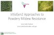 VitisGen2 Approaches to Powdery Mildew Resistance · 2018. 1. 19. · Powdery Mildew Resistance Lance Cadle-Davidson Lance.CadleDavidson@ars.usda.gov. Acknowledgments ... REN6 9 piazeskii