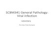 SCBM341 General Pathology: Viral infection · SCBM341 General Pathology: Viral infection PorntipChaichompoo Laboratory. Time Activity 2.30 – 3.00 p.m. Glass slide: Brain Rabies