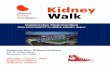 Partnership Opportunities - kidneyfl.org · Partnership Opportunities 2020 NORTHWEST FLORIDA KIDNEY WALK. WHAT IS THE NORTHWEST FL KIDNEY WALK? The Northwest Florida Kidney Walk is