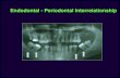 Endodontal - Periodontal Interrelationship · Langeland K. et al: Periodontal disease, bacteria and pulpal histopathology Oral Surg. 1974. Langeland K. et al: Periodontal disease,