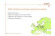 WP6: Biofuels and lignocellulosic marketsWP6: Biofuels and ... · WP6: Biofuels and lignocellulosic markets Summary of findings - Stationary energy most important near term market