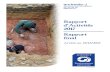 Rapport d’Activités 2017 Rapport final...• La Ville de Namur archeoloJ 35 rue de er 5000 Namur Rapport d’Activités 2017 Rapport final - Arrêté au 31122017 archeoloJ 2017