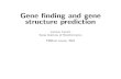 Gene structure prediction - Bioinformatics · gene structure prediction • A number of methods exists for gene structure prediction which integrate diﬀerent techniques to detect