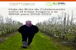Hoja de Ruta de Colaboración entre el Copa-Cogeca …...Hoja de Ruta de Colaboración entre el Copa-Cogeca y la IBMA para 2018-2025 Desde el 2009, los agricultores de la UE se han