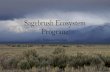 Sagebrush Ecosystem Programnvacd.org/.../2018/12/SEC-E-Mower-presentation-nov-2018.pdf · 2020. 6. 15. · Mountain (Newmont Mining) 283 10,717 - Humboldt Lithium Nevada Mine (Lithium