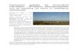 Informerend gedeelte bij Omzendbrief LNE/2009/01 – RO/2009 ... · Kleine windturbines Veiligheid Het voldoen aan de veiligheidseisen wordt getoetst door een certificatietraject.