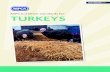 RSPCA welfare standards for TURKEYS - Poultry Passport · RSPCA welfare standards for turkeys (iii) September 2017 Introduction The ‘RSPCA welfare standards for turkeys’ have