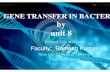 GENE TRANSFER TECHNIQUES · Ti-Plasmid mediated transfer of gene into a plant • The Ti-Plasmid has an innate ability to transmit bacterial DNA into plant cells. • The gene of