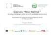 China’s “New Normal - Mines ParisTech€¦ · – Water, land, other • Social – Public health – Inequalities • Economic and financial: – Labour market changes eroding