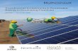 Scandinavian Investments in Renewable Energy in Developing ... · renewable energy projects in developing countries to unleash more private investments. Also there is a huge untapped