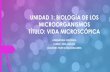 UNIDAD 1: BIOLOGÍA DE LOS MICROORGANISMOS TÍTULO: VIDA ...colegiochac.cl/wp-content/uploads/2020/03/guias2/7Basico/Guia_Bio… · UNIDAD 1: BIOLOGÍA DE LOS MICROORGANISMOS TÍTULO: