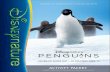 Disneynature Penguins Activity Packet · Adélie penguins are also pretty small for penguins — they weigh between 8.5-12 pounds (4-6 kg) and measure about 27.5 inches (70 cm) long.