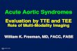 Acute Aortic Syndromes · Role of Multi-Modality Imaging William K. Freeman, MD, FACC, FASE . DISCLOSURES Relevant Financial Relationship(s) None . ... MR Imaging Courtesy of E.E.