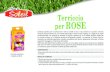 Terriccio per ROSE - Raggio di Sole · ll Terriccio per Rose Fleur du Soleil è già pronto all’uso per: - sistemazione delle rose in ﬁoriere - in caso di coltura in piena terra