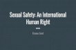 Sexual Safety: An International Human Right · 2017. 5. 6. · - Minors and sexual assault - Trauma informed training - Neurobiology of trauma - Bias training . 3. Education for Students
