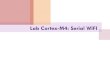 Lab Cortex-M4: Serial WIFIccrs.hanyang.ac.kr/webpage_limdj/embedded/LabCortexWIFI.pdf · 2020. 5. 16. · Cortex-M4 Board STM32F407 Discovery Board RS232C Serial WIFI 0.96 inch OLED