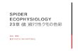 SPIDER ECOPHYSIOLOGY 23章（後）夜行性クモの色彩hi2h-ikd/tokyoss2/... · SPIDER ECOPHYSIOLOGY 23章（後）夜行性クモの色彩 ... 23.3.1 Quantifying How Colors Are