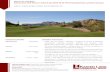 EXECUTIVE SUMMARY Gold Canyon Golf Resort / Hotel & Spa ...walter-unger.com/wp-content/uploads/2015/12/Gold...Commercial Residential, MultiFamily, • Nearby Mesa’s DMB EastMark