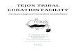 TEJON TRIBAL CURATION FACILITY Curation... · 1.0 - INTRODUCTION ... To educate Tribal Members and the general public in the culture, heritage, and language of the Kitanemuk and Tejon