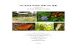 PLANT FOR WILDLIFE Research/PlantForWild… · PLANT FOR WILDLIFE Final Report The Florida Wildflower Foundation Jaret C. Daniels, Ph.D. Associate Curator and Program Director McGuire