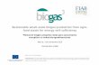 Sustainable small-scale biogas production from agro- food ... · El Proyecto BIOGAS3 presenta varios aspectos de especial importancia para las industrias agroalimentarias: 1. Promueve