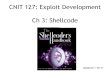 CNIT 127: Exploit Development Ch 3: Shellcode · • ld GNU Linker • objdump to see contents of object files • strace System Call Tracer ... instruction can make the program crash