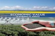 Economic Value of Irrigation in Albertadepartment/deptdocs... · irrigation districts, its value in enhancing wildlife populations and biodiversity is considered priceless. The future