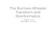 The Burrows-Wheeler Transform and Bioinformatics · The Burrows-Wheeler Transform and Bioinformatics J. Matthew Holt holtjma@cs.unc.edu