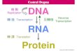 Central Dogma 複製 DNAjuang.bst.ntu.edu.tw/files BC/BC2007/NA(2) 2007A.pdf · 2016. 2. 16. · Central Dogma RNA DNA Protein 轉錄 轉譯 Transcription Translation Replication