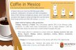 Coffie in Mexico - INCAFECH · 2019. 9. 25. · States with the highest coffee production: Chiapas, Veracruz y Puebla They concentrate together 80% of the Mexican coffee production.