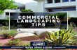 COMMERCIAL LANDSCAPING TIPS - snwa.com · COMMERCIAL LANDSCAPING Your landscape is a long-term investment. Use these tips, ... shade buildings, to reduce power costs, as well as parking