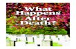 What Happens After Death? · Scientists cannot tell us what happens after death. Too many aspects of life itself are intangible—too elusive to measure and record. Philosophers disagree