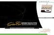Piemonte Gold Excellences - centroestero.org€¦ · gold and silver jewelry finding, mountings and components for jewelry writing instruments precious and semiprecious stones: extraction,