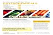 Nutrition and Health Fact Sheet: PHYTOCHEMICALS · There is little evidence that phytochemicals by themselves are beneficial. Rather, it is the combination of phytochemicals and nutrients