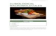 3 | BIOLOGICAL MACROMOLECULES · 2018. 6. 11. · 3 | BIOLOGICAL MACROMOLECULES Figure 3.1 Foods such as bread, fruit, and cheese are rich sources of biological macromolecules. (credit: