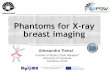 Phantoms for X-ray breast imagingpeople.na.infn.it/~mettivie/MaXIMA Video/presentation... · 2018. 9. 24. · Phantoms for X-ray breast imaging 1 Alessandra Tomal Institute of Physics