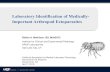 Laboratory Identification of Medically- Important Arthropod … · Laboratory Identification of Medically-Important Arthropod Ectoparasites California Association for Medical Laboratory