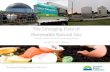The Emerging Field of Renewable ... - Clean Air Partnership · Building the Biogas Sector With You Canadian Biogas Association •Mandate –The collective voice of the biogas industry