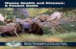 Moose Health and Disease: A Pocket Guide · Email photos and GPS locations of affected moose or sightings of mule and white-tailed deer. For a harvested moose with hair loss, collect