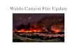 Waldo Canyon Fire Update - coloradoadvantage · Waldo Canyon Fire Update. Demolition. 2310 Courtney Drive Before. 2310 Courtney Drive AFTER Avg 3200 sq ft house = $18K-$20K in Demo
