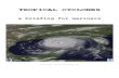 TROPICAL CYCLONES - freewebs.com cyclones update rev2… · Tropical cyclones are “born” in all tropical ocean area’s between 6º and 30º north or south. They can reach as