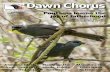 Dawn Chorus - Tiritiri Matangi Island chorus/DC105.pdf · 2 Dawn Chorus 105 May 2016 3 visiting Tiritiri under the programme has been immensely rewarding. For instance, the principal
