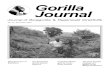 Gorilla Journal...News from the Internet 18 Berggorilla & Regenwald Direkthilfe 19 Activities 19 Dr. Angela Meder observed the behaviour and development of captive lowland gorillas