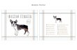 BOSTON TERRIER - Uncommon Goods · BOSTON TERRIER Boston Terrier. Title: Print Created Date: 1/23/2017 3:55:15 PM