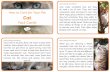 Cat · How to Care for Your Pet Cat Fact Cards Cats make wonderful pets but they do need a lot of care. They will need somewhere clean and quiet to rest. Cats often enjoy going outside