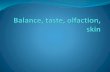 Ballance, taste and olfaction 6 NS_2016.pdf · The receptors for olfaction, which are bipolar neurons, are in the nasal epithelium in the superior portion of the nasal cavity The