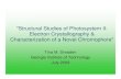 Structural Studies of Photosystem II: Electron ... Research summary (revised)… · "Structural Studies of Photosystem II: Electron Crystallography & Characterization of a Novel Chromophore"