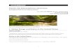 Electric Eel (Electrophorus electricus...1 Electric Eel (Electrophorus electricus) Ecological Risk Screening Summary U.S. Fish and Wildlife Service, August 2011 Revised, July 2018
