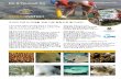 Do It Yourself Kit  · 2018. 6. 10. · 1998년에 발생한 거대한 백화 현상은 전 세계의 6분의 1의 산호 군락이 죽어버린 기록 사상 가장 심한 백화