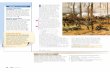 Mr. Lidington's ENG 8 Blog | Just another WordPress.com site · Analyze Literature Description History Connection Battle of Shiloh Shiloh 56 UNIT 1 Simple and Compound Predicates